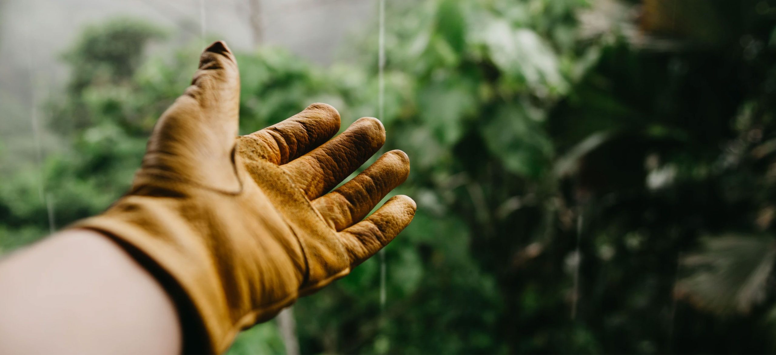 Technical Services Works Technical Services Works