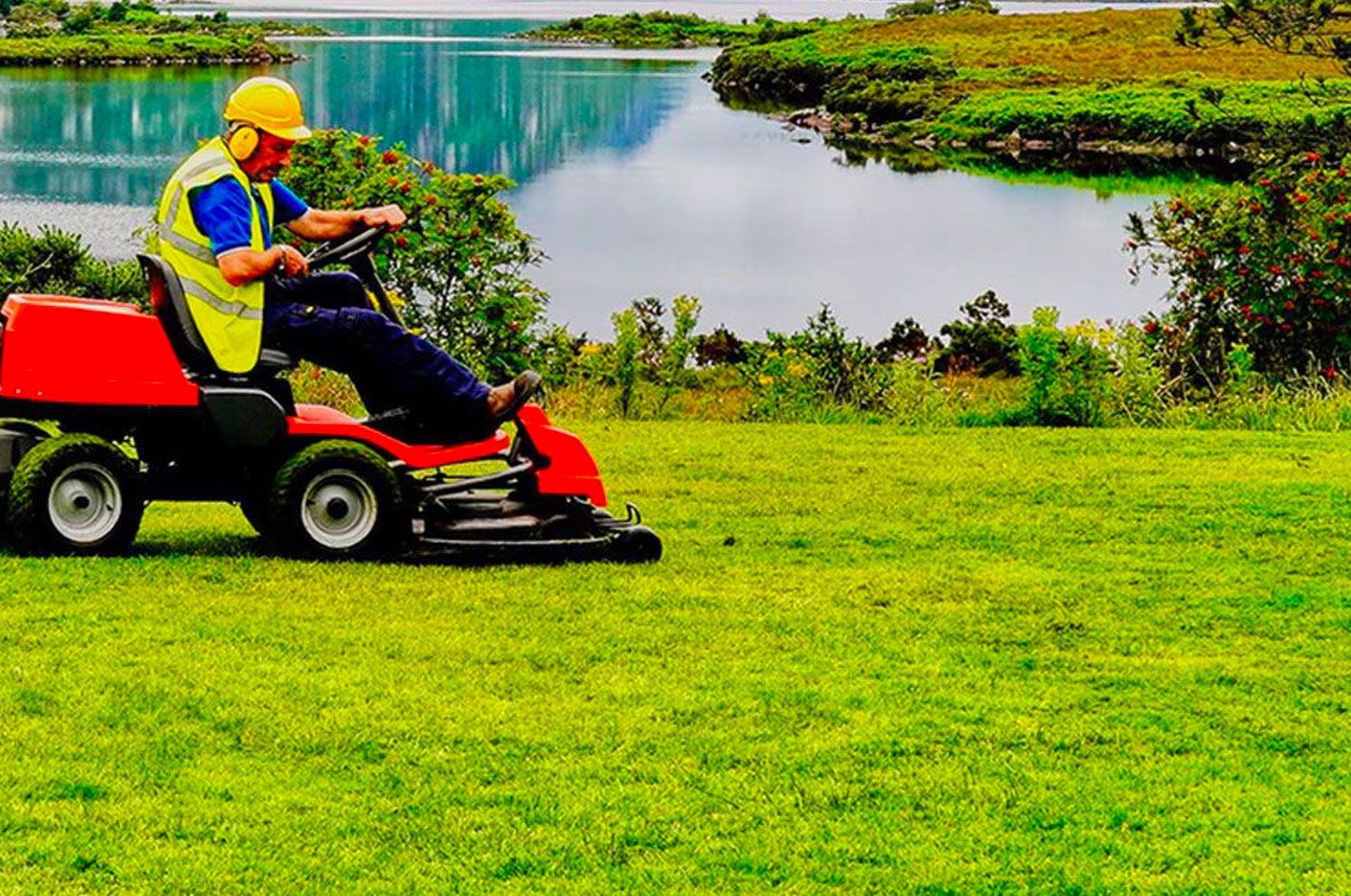 lawn care services lawn care services